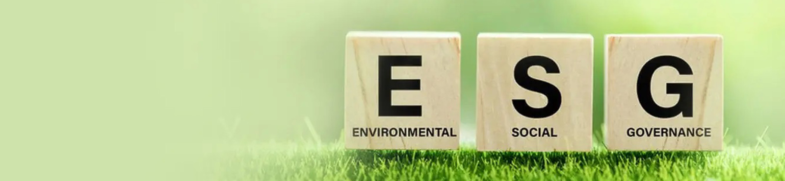 ESG Programme
